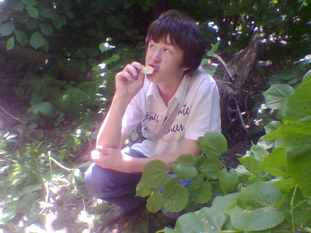 пюлхкэ